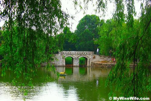 Gentle willow trees can be spotted everywhere around Cuihu