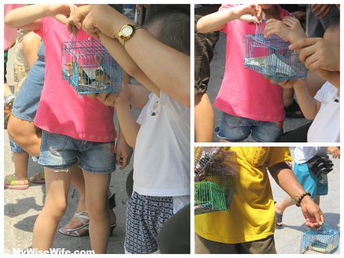Kid is performing good deeds to release the birdies Kid is performing good deeds to release the birdies