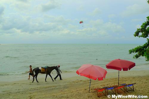 Riding a horse?
