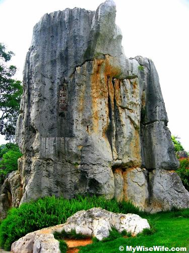 Entrance to Minor Stone Forest Entrance to Minor Stone Forest