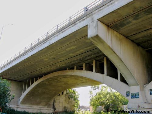 Home of free-tailed bat is the crevices underneath Congress Avenue Bridge