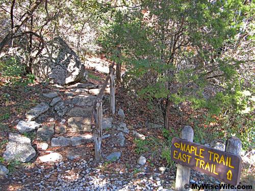 Left path takes us to spectacular Maple Trail Left path takes us to spectacular Maple Trail