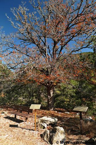 Bench to rest Bench to rest