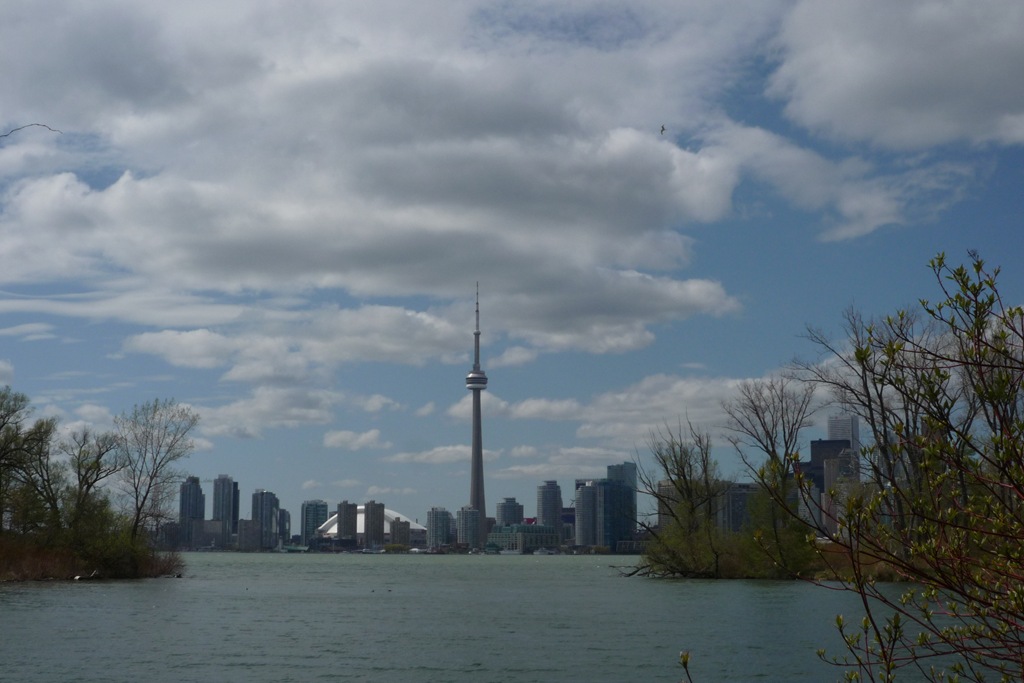 [P1010425[2].jpg]