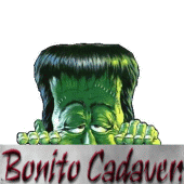 http://lh3.ggpht.com/_OWV9bE91xHM/SWaY6Y3frkI/AAAAAAAAD3I/QVO_1Vw6s40/hmsboawd.gif