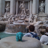 Elephant in Italy