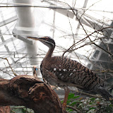 London Zoo