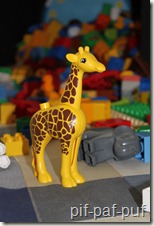 IMG_0117 IMG_0117