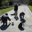 DSCN1688.jpg