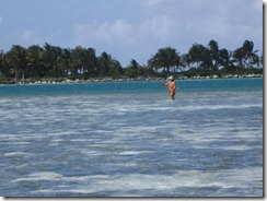 IMG_0646 IMG_0646
