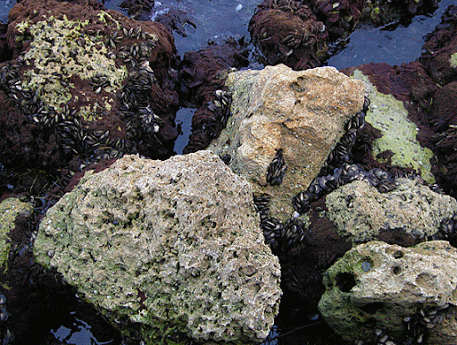 Gif Animado de Pedras em Estereoscopia
