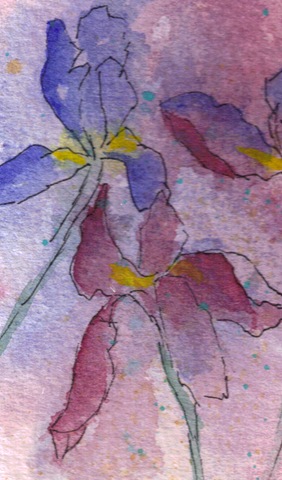 [Iris Garden watercolor painting resized detail 3[3].jpg]