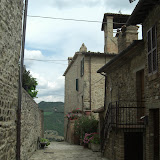 Montone