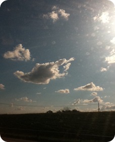 IMG_1251 IMG_1251