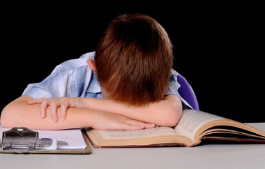 The Student