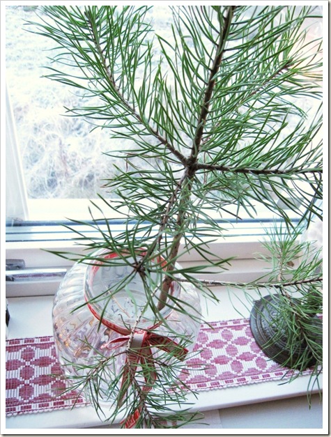 IMG_6618 IMG_6618