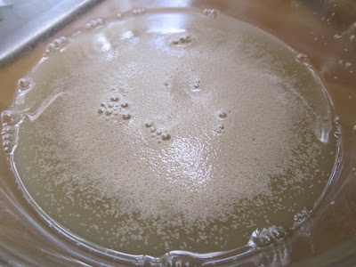 yeast foam 1