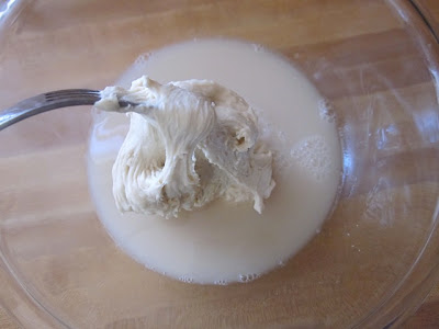 yeast water starter