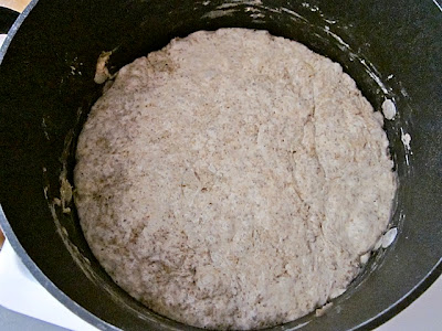 big fluffy fermented dough