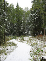 IMG_7419.JPG Photo
