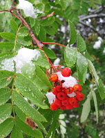 IMG_7473.JPG Photo