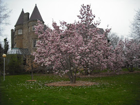 DSCF0118.JPG