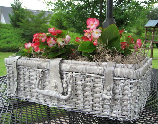 [shabby  basket planter[13].jpg]