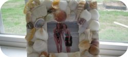 shell frame