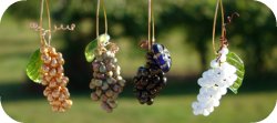 Thumbnail image for Lights and charms