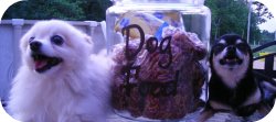 Dog Food Glass jar