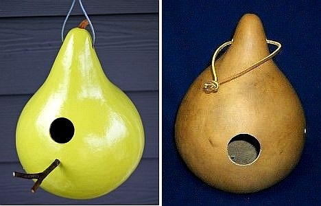 [diy-birdhouse-gourd[2].jpg]