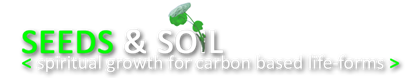 seeds and soil seeds and soil