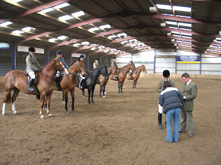 Show Hunter Class - with judge Adam Murdin