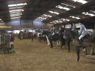 Novice Working Hunter Line-up