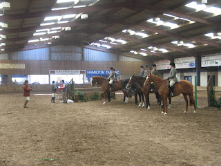 Open Working Hunter Line-up