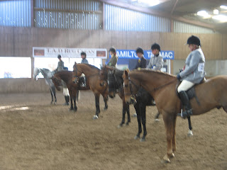 Riding Club Horse Line-up