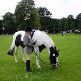Rozelle Park, Alloway 29th June 2008