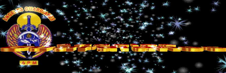 BANNER FEBRERO 2010