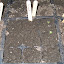 Arugula