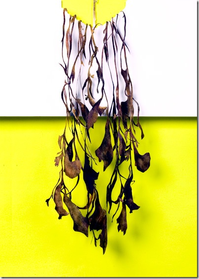 Cool-art_whole-poster_close-up_dropping-plants