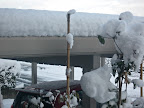 Nearly a foot an a half! Great! This is a moderate amount- it can easily snow a lot more.