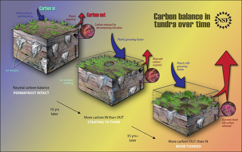 Permafrost