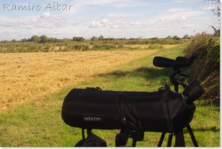 campos y telescopios