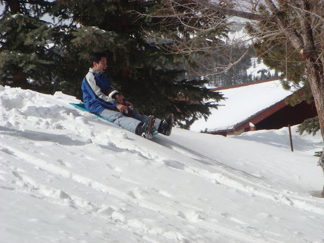 Brookie sledding with Daddy