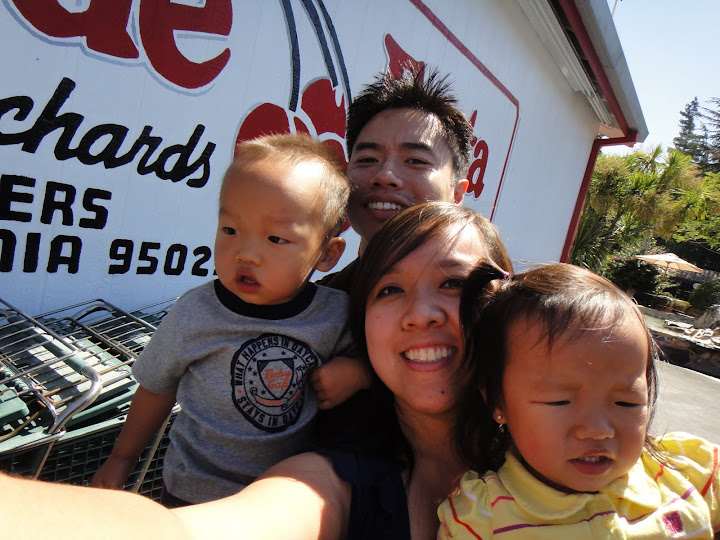 Lams at Casa de Fruta