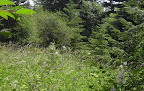 Bluemoonshineranch Slideshow