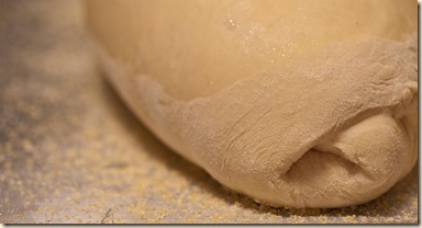 2010-01-12 bread 012