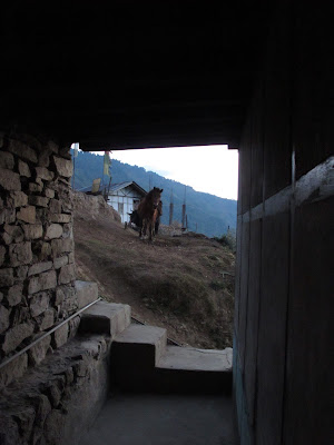 bedroom view