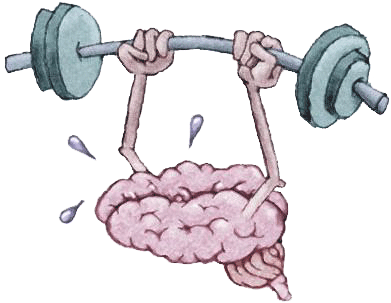[brain2.gif]