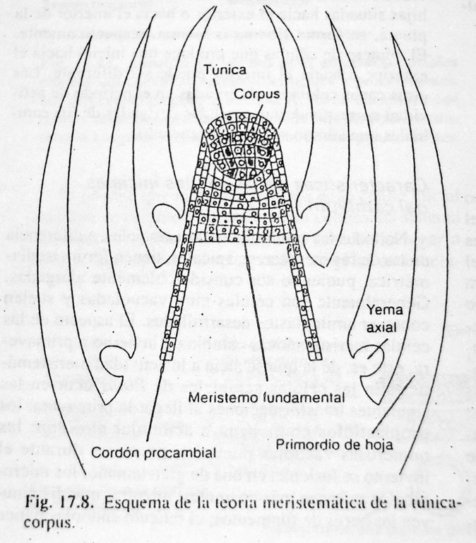 [image[17].png]